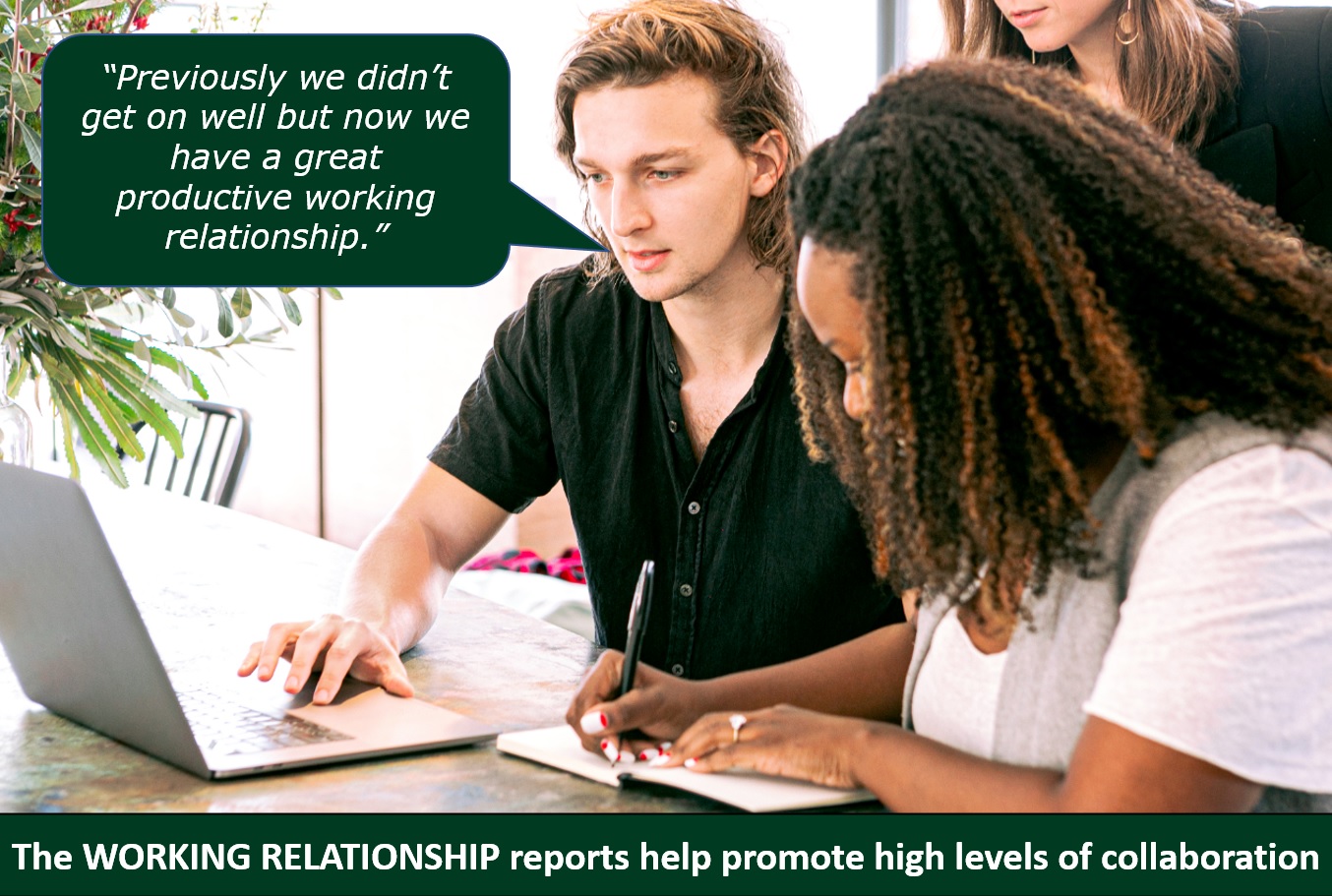 Belbin Working Relationships