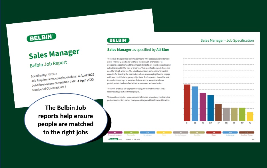 belbin-job-report